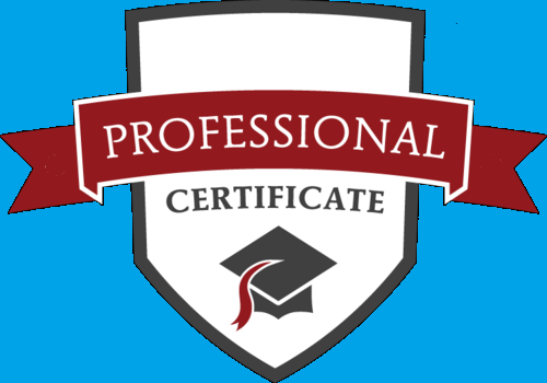Certificação profissional em BPM – 44